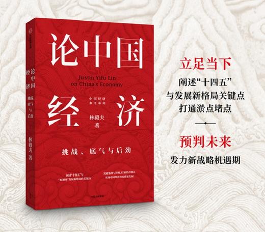 论中国经济 挑战 底气与后劲林毅夫 著 经济理论 解读中国经济 新发展格局 十四五双循环 金融 未来趋势 商品图1