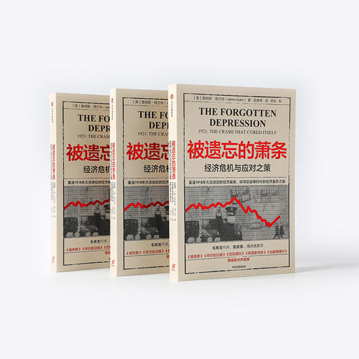 被遗忘的萧条 经济危机与应对之策 詹姆斯 格兰特 著 美国大萧条 华尔街股灾 经济危机 后疫情时代 经济复苏 商品图1