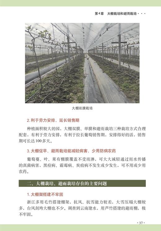 图解阳光玫瑰葡萄栽培 商品图4