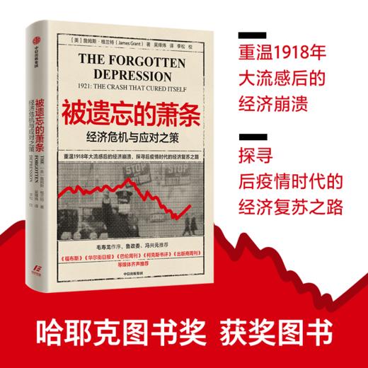 被遗忘的萧条 经济危机与应对之策 詹姆斯 格兰特 著 美国大萧条 华尔街股灾 经济危机 后疫情时代 经济复苏 商品图0