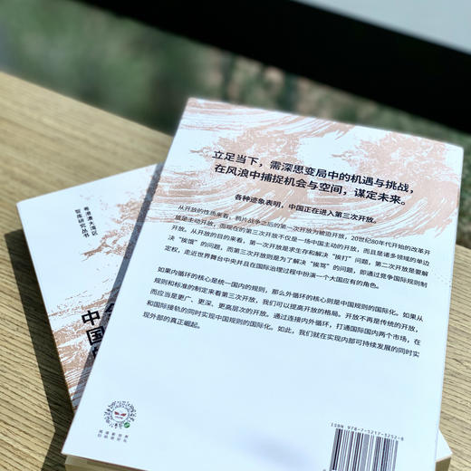 大变局中的机遇  新挑战与中国的未来 郑永年 著 商业财富  世界大变局下中国应如何避开陷阱抓住机遇把握未来 中信 商品图2