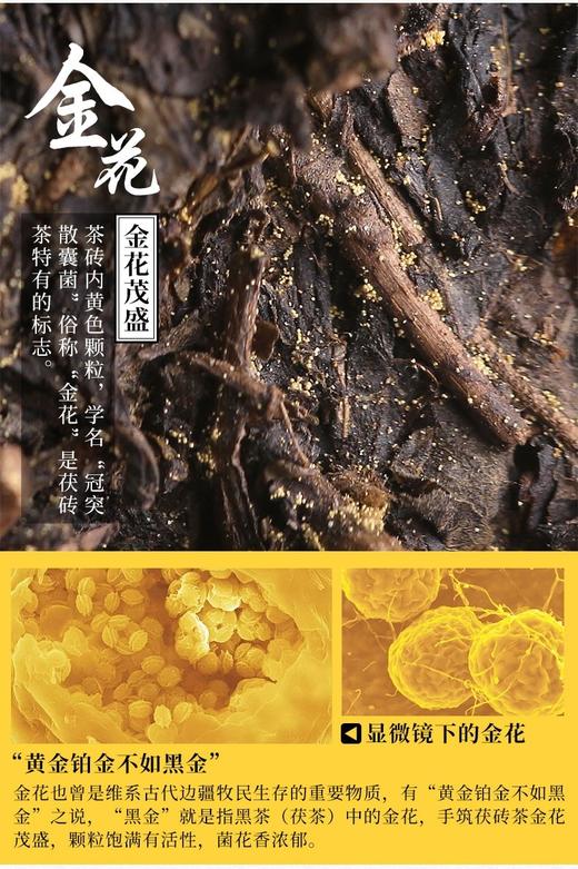 2014年3公斤茯砖茶，市场价1280，今日活动价：785元（买一块茯砖送橡筋白茶一饼） 商品图5