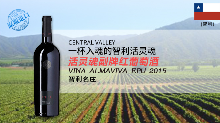 智利-活灵魂酒庄副牌红葡萄酒2015年