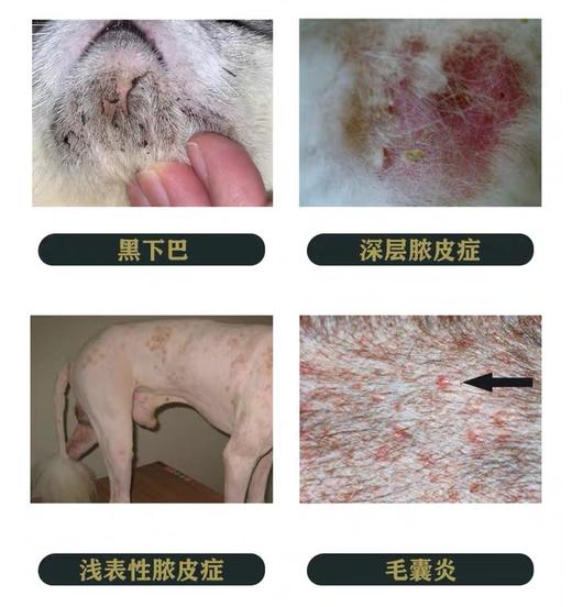 维克乐利鲜 商品图2