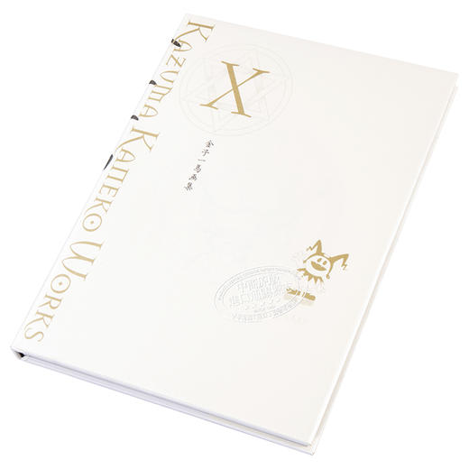 【中商原版】金子一马画集10 系列完结 日文原版 金子一馬画集X 商品图2