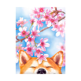 【折扣商品 不退不换】300片 平面拼图 塑料拼图 H2463 樱花系列款- 樱花柴柴