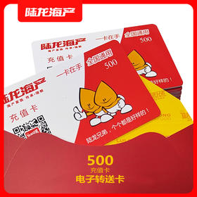 990950陆龙电子卡500