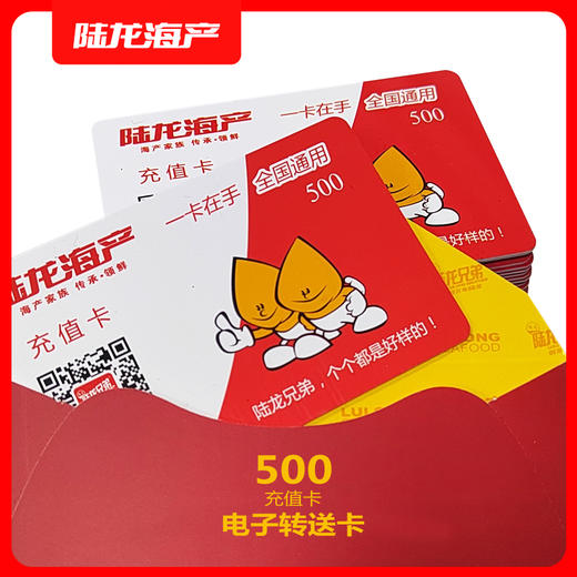 990950陆龙电子卡500 商品图0