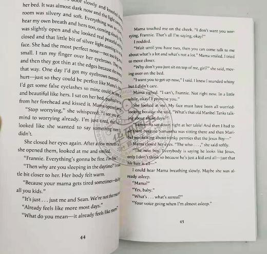 羽毛 英文原版小说 Feathers 纽伯瑞银奖 儿童文学读物 Jacqueline Woodson 英文版进口原版英语书籍 商品图2