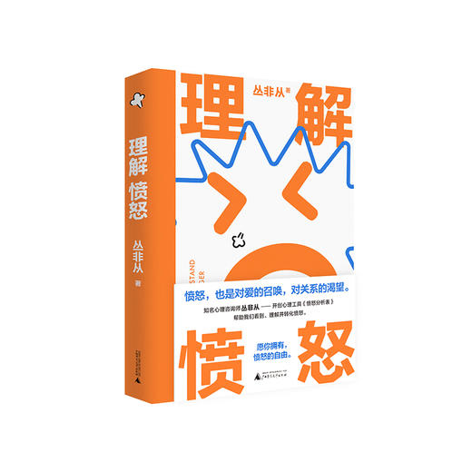 理解愤怒 丛非从/著 情绪管理 情绪自由 负面情绪 控制 失望 生气 委屈 脆弱 无助 爱 关系 广西师范大学出版社 商品图0