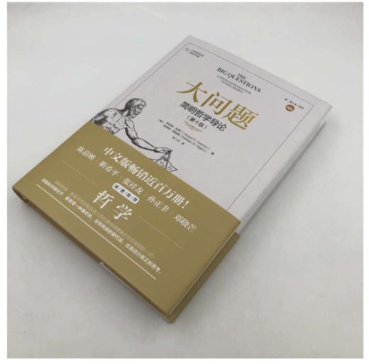 大问题 简明哲学导论 第十版 商品图3
