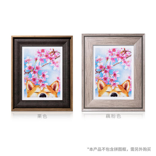 【折扣商品 不退不换】300片 平面拼图 塑料拼图 H2463 樱花系列款- 樱花柴柴 商品图3