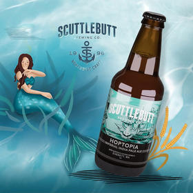 美人鱼帝国至尊IPA啤酒 355ml*24瓶/箱