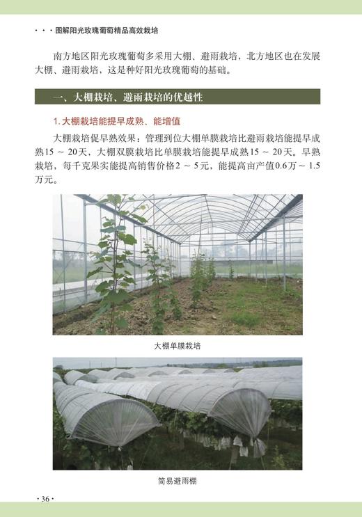 图解阳光玫瑰葡萄栽培 商品图3