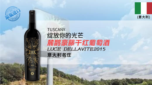 意大利-麓鹊豪藤干红葡萄酒2015 商品图0