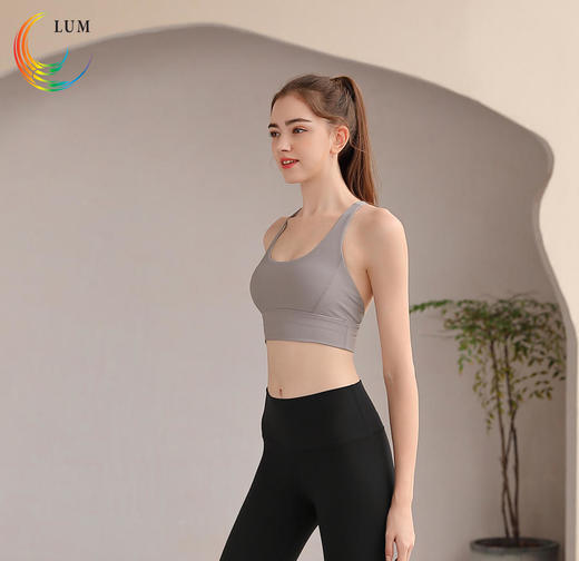 LUM19165露檬新款瑜伽背心运动BRA（含胸垫） 商品图2