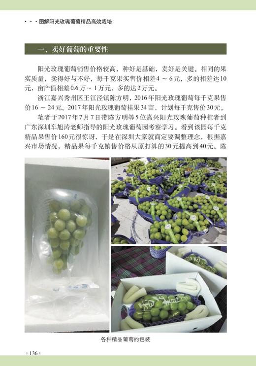 图解阳光玫瑰葡萄栽培 商品图5