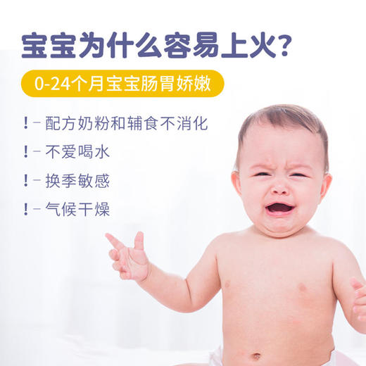 【双十一特价】西班牙memilk菊花晶婴儿奶伴侣200g 商品图1