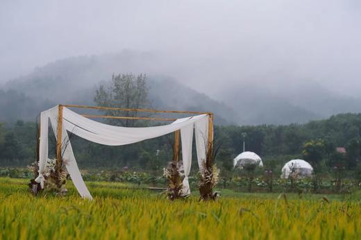 十里莲华养心谷消费券 商品图4