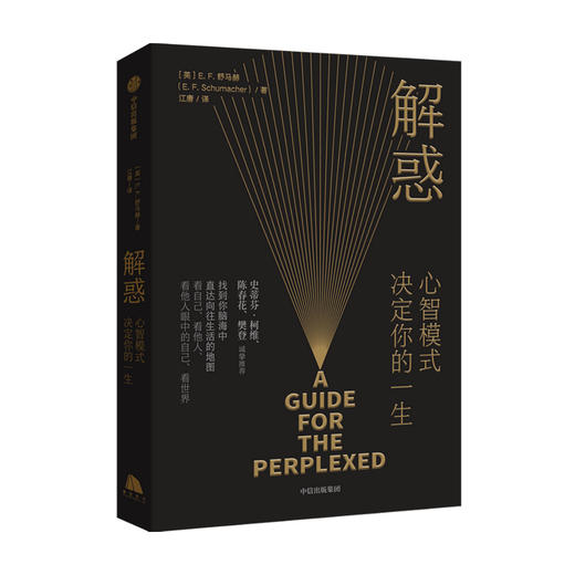 樊登 解惑 心智模式决定你的一生E F 舒马赫 著 史蒂芬柯维高效能人士的7个习惯的灵感来源 张靓颖 小的是美好的作者 中信 商品图4