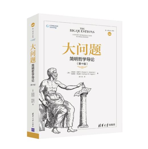 大问题 简明哲学导论 第十版 商品图4