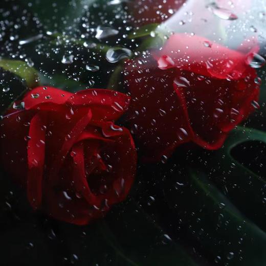 OPP透明玻璃纸 商品图5