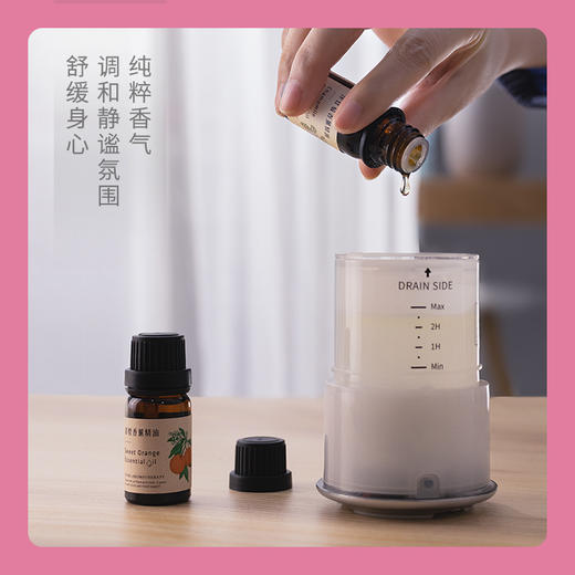 【折扣商品 不退不换】香薰机系列  CD1003 走向春天的下午系列- 携手相伴 商品图3