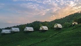 【酒店】799元起抢上渚山奇幻谷·茶野里2天1晚双人度假自驾套餐（需预约）