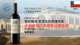 【智利】干露魔爵红赤霞珠红葡萄酒2019