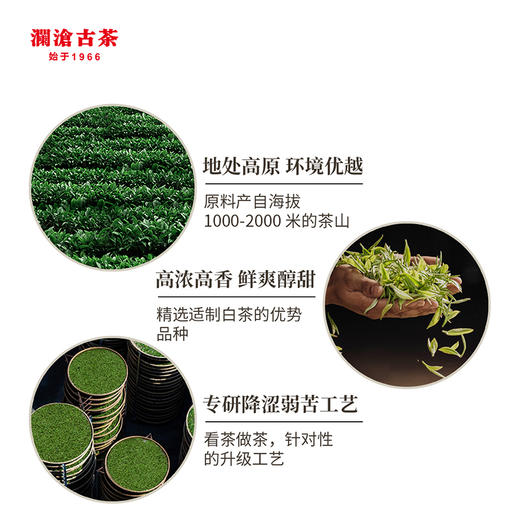 澜沧古茶妈妈白茶品鉴装（白玉玲珑5g*2袋+高山贡眉5g*3袋+陈皮白茶5g*3袋）盒装40g（每个ID限购2份） 商品图3