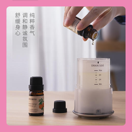 【折扣商品 不退不換】香薰机系列 CD1006 樱桃小丸子- 樱花树下的合影-精油为临期商品 商品图3