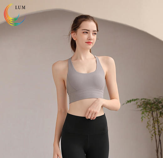 LUM19165露檬新款瑜伽背心运动BRA（含胸垫） 商品图1