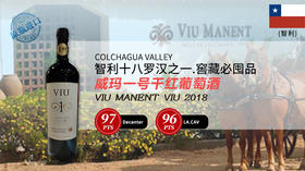 【智利】威玛一号干红葡萄酒2020年