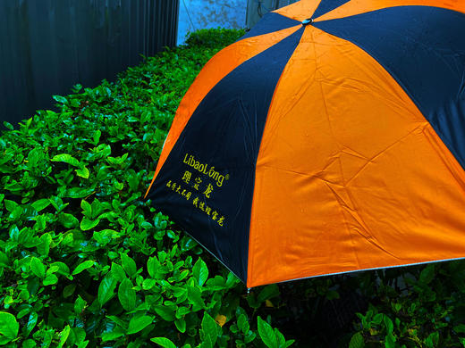 礼品 雨伞 商品图0