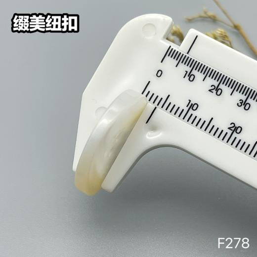 F278(整包购买) 商品图9