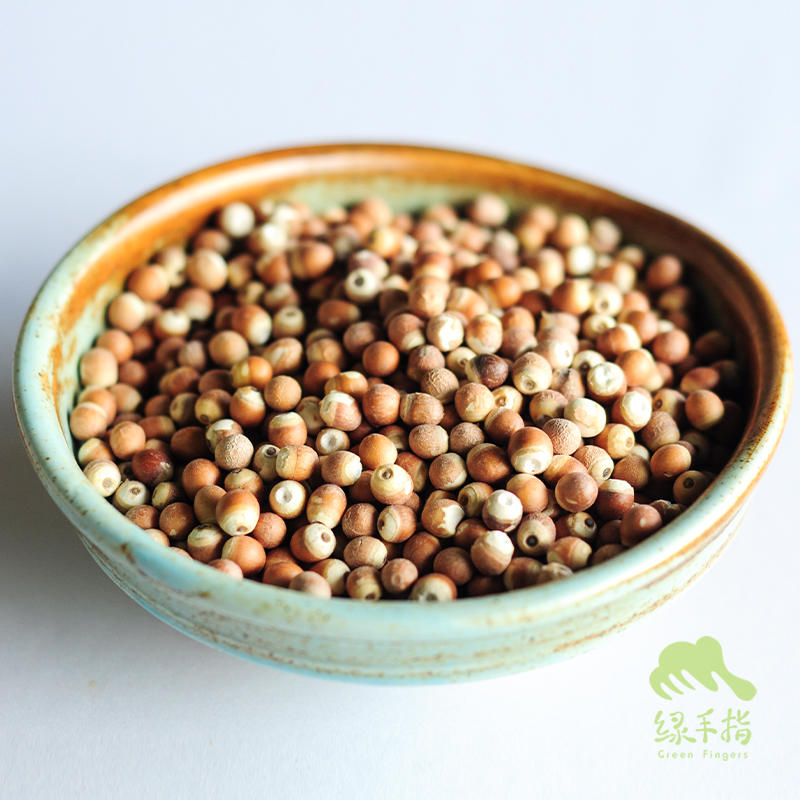 野生芡实 | 合作生产 * wild-gorgon fruit