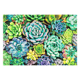 【折扣商品 不退不换】368片 迷你平面拼图 塑料拼图 P1432 多肉花墙 (配小画架)