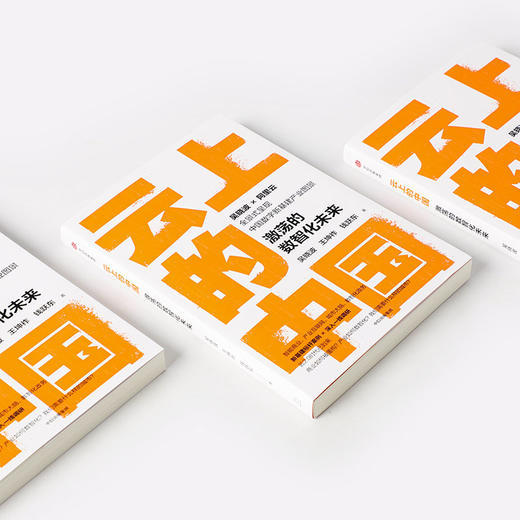 云上的中国 激荡的数智化未来吴晓波 著 经济 定位转型中的难点与痛点 为政企数智化重构及转型提供可参考的标杆案例 商品图2