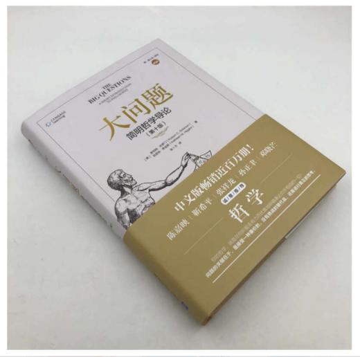 大问题 简明哲学导论 第十版 商品图2