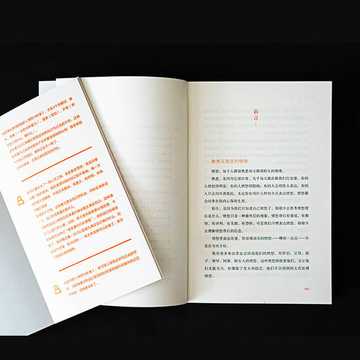 理解愤怒 丛非从/著 情绪管理 情绪自由 负面情绪 控制 失望 生气 委屈 脆弱 无助 爱 关系 广西师范大学出版社 商品图4