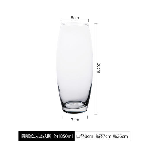 PASABAHCE植物园花瓶260mm 商品图3