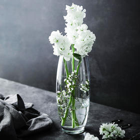 PASABAHCE植物园花瓶260mm