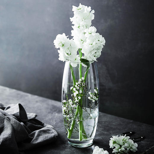 PASABAHCE植物园花瓶260mm 商品图0