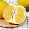 葡萄柚 商品缩略图6