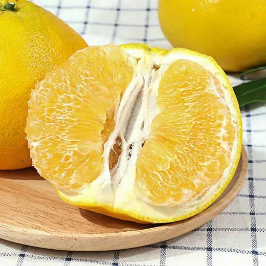 葡萄柚 商品图6