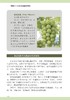 图解阳光玫瑰葡萄栽培 商品缩略图1