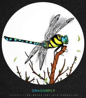 8-10岁《写生 -- 蜻蜓》【自动发货：下单后，点击手机短信中收到的链接，即可获取文件下载的链接；如有任何问题，可添加客服微信hm33268获得帮助】
