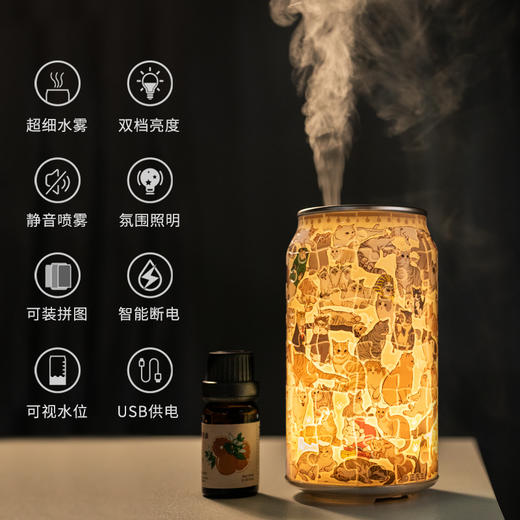 【折扣商品 】香薰机系列 CD1016 正先生-每日一猫-精油为临期商品 商品图2