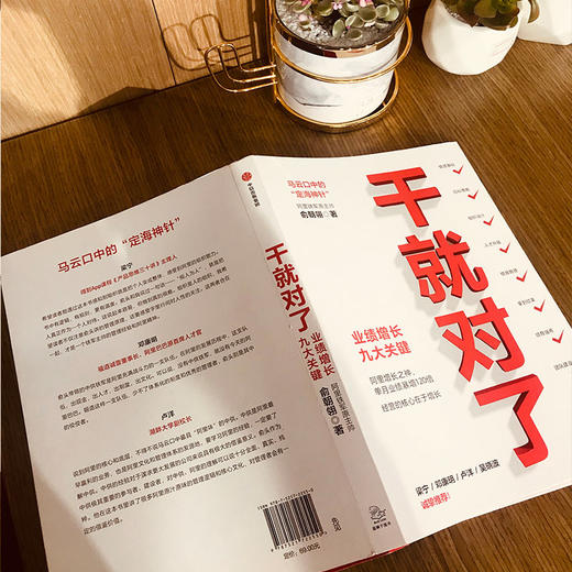 干就对了 业绩增长九大关键 俞朝翎 著 阿里铁军原主帅 梁宁邓康明卢洋吴晓波诚挚企业管理商业经管励志中信出版 商品图1
