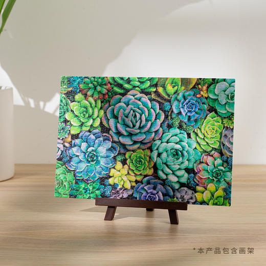368片 迷你平面拼图 塑料拼图 P1432 多肉花墙 (配小画架) 商品图3
